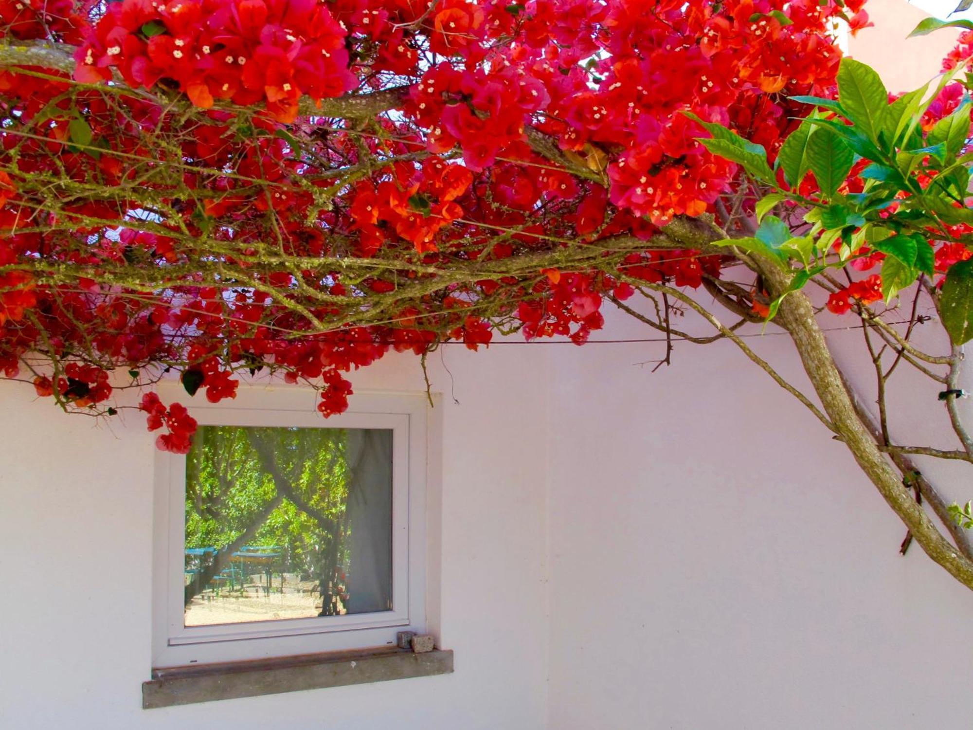 Seaya Villas كاسكايس الغرفة الصورة